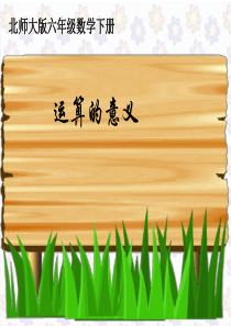 242015新北师大版数学六年级下总复习《运算的意义》