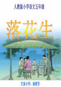 8《落花生》ppt课件4[1]