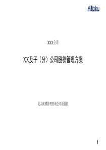 某大型电力国企收购后重组方案