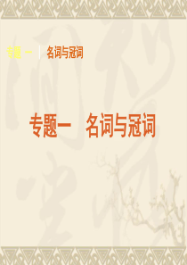 2011届高考英语二轮专题复习课件：语法-专题1 名词与冠词