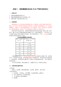 琼脂糖凝胶电泳及PCR产物的回收纯化