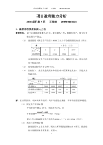 工程经济学-项目盈利能力分析