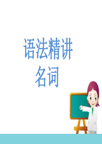 2018中考名词专题-课件-(共30张PPT)