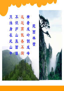 4.1-新北师大版四年级数学下册《看一看》--课用