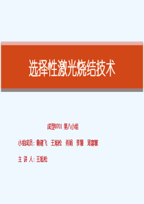 SLS选择性激光烧结.pptx