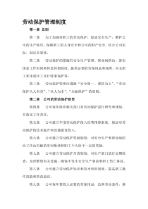 劳动保护管理制度-劳动