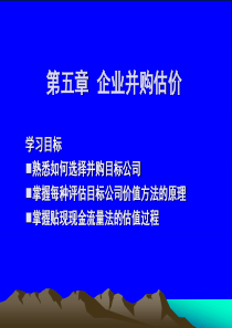 第05章企业并购估价