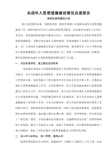 学校未成年人思想道德建设自查报告