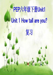 新版PEP六年级下册英语第一单元复习课件