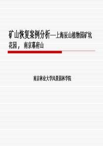 矿山景观恢复案例分析