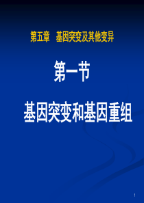 第一节_基因突变和基因重组2