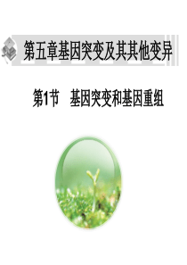 第一节基因突变和基因重组usex