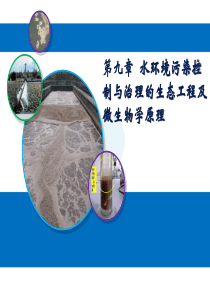 YRR-第九章-水环境污染控制与治理的生态工程及微生物学原理(1)