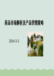 药品市场解析及产品营销策略PPT(共65页)