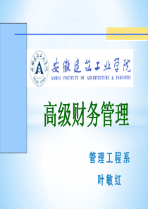 第三章企业并购估价_2
