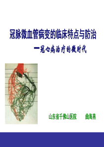 冠脉微血管病变的临床特点与防治-草稿6
