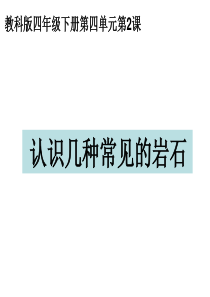 教科版四年级科学下册认识几种常见的岩石