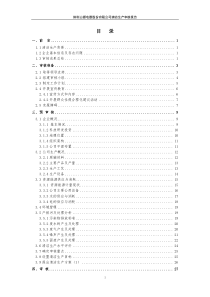 山源电器清洁生产审核报告(实施稿)