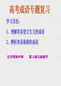 高考成语复习课件