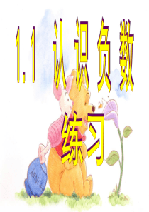 认识负数练习题课ppt