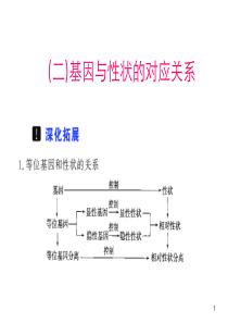 高中生物必修2-基因和性状的关系