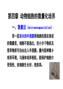 第四篇-动物细胞微囊化培养
