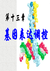 基因表达调控-基本概念与原理