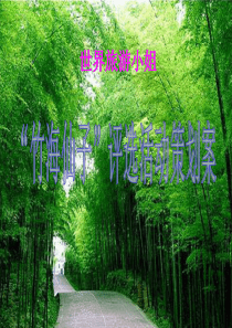 “竹海仙子”活动策划案