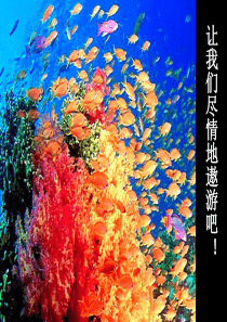 ATP与细胞呼吸一轮复习-Z