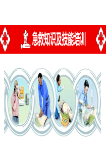 员工急救知识及技能培训