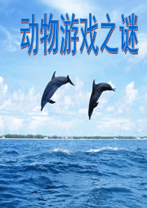 动物游戏之谜公开课课件