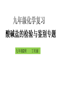 九年级化学-酸碱盐的鉴别-专题