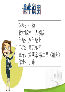 【初中生物】细菌