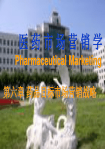 药品目标市场营销战略