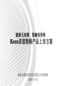 Kern家能精铸产品上市方案(3)