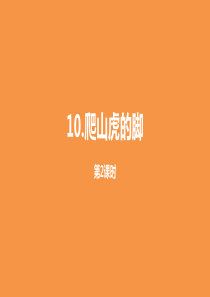 小学语文(人教部编版)四年级上册10《爬山虎的脚》第二课时课件