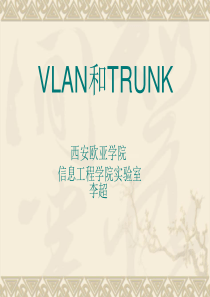 VLAN和TRUNK说明