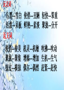 三年级近义词反义词