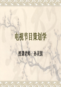 电视节目策划学-复旦-胡智峰
