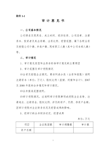 审计意见书模版