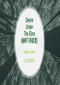 Desire-Under-The-Elms-(榆树下的欲望)学生自主上课