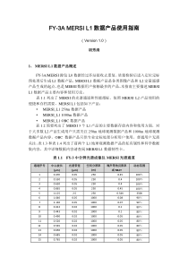 L1数据产品使用指南