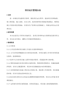 项目运行管理办法