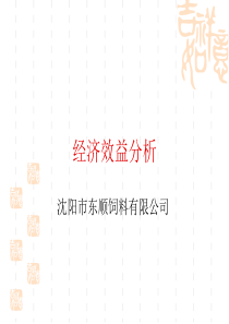经济效益分析及成本核算