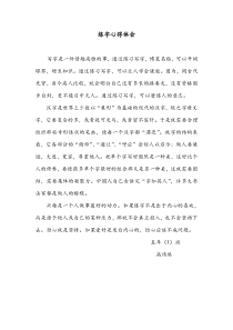 练字心得体会高玮琪