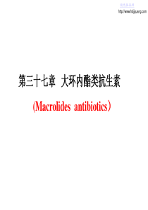 大环内酯类抗生素