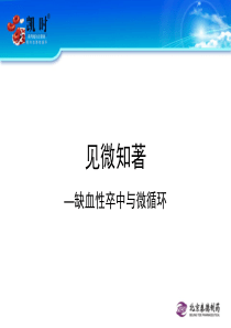 缺血性卒中与微循环