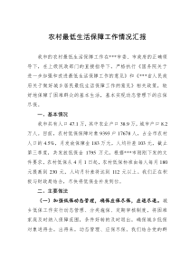 农村低保工作汇报