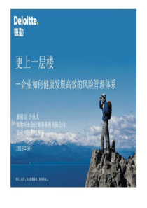 新编文档-德勤：企业如何健康发展高效的风险管理体系-精品文档
