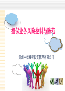 风险控制与防范--资料